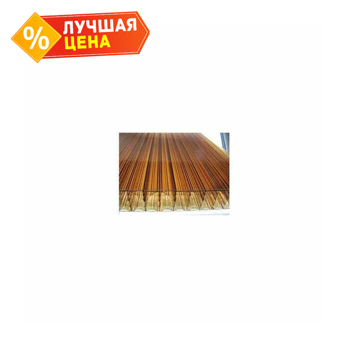 Сотовый поликарбонат 10 мм SUNNEX 3R двухкамерный бронза 2100х6000 мм
